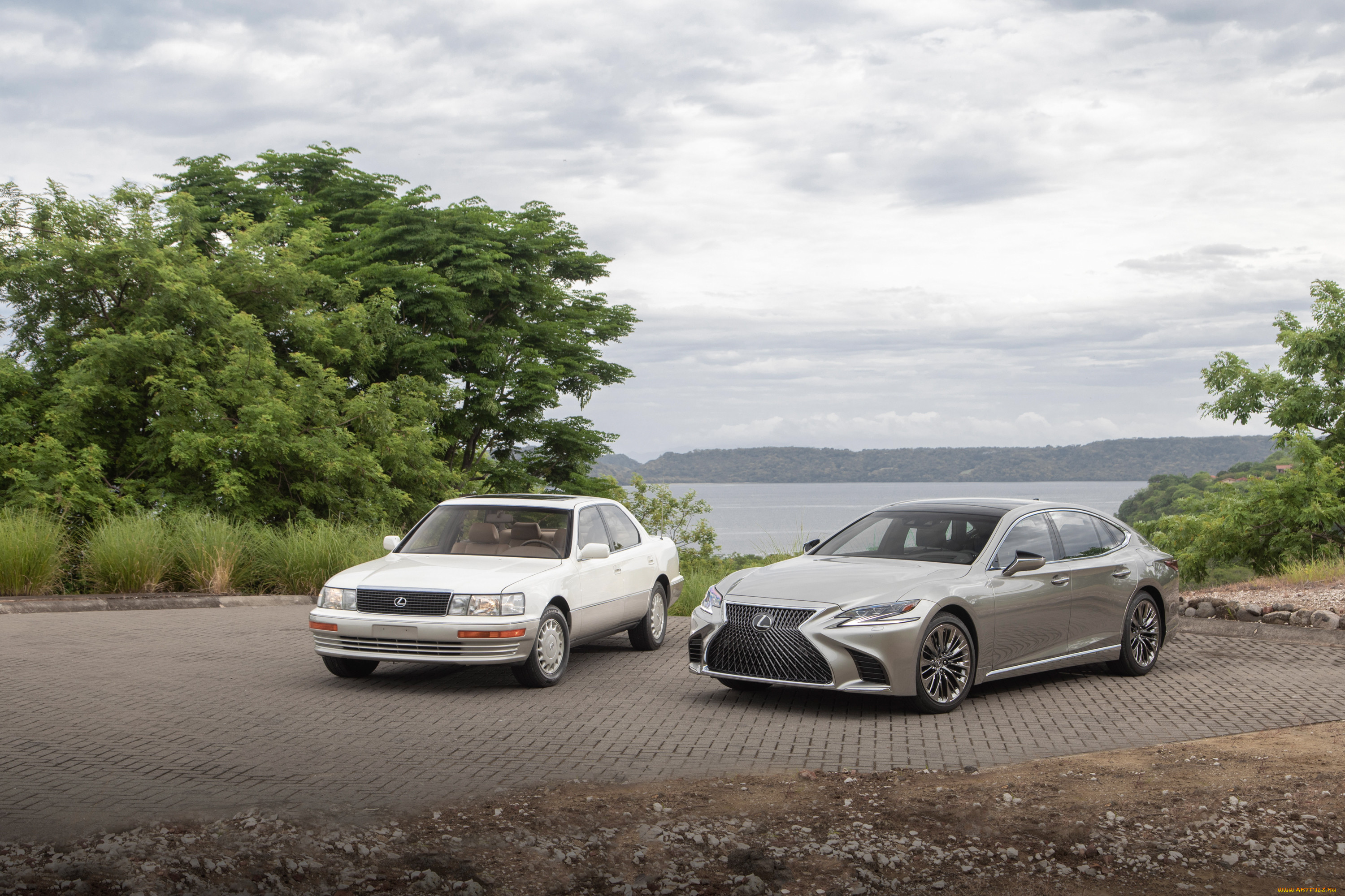 , lexus